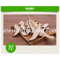 Orgánica sana Shiitake rebanada de hongos de Hubei